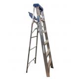 Werner Aluminum Ladder