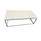 Euro Style Coffee Table