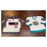 vintage CCM 2001 NHL All-Star Game goalie jersey