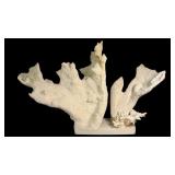 Large Vintage Natural White Porites Finger Coral