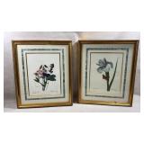 pair of vintage framed botanical prints after t