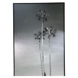 Large Modern Black and white Palm tree print