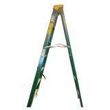 Davidson Fiberglass 7 Foot Ladder