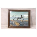 Framed Print of Ducks in Flight Over Marsh Scene