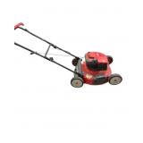 Loweï¿½s Briggs & Stratton Gas Lawn Mower