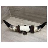 Bull Horn Plaque 16"