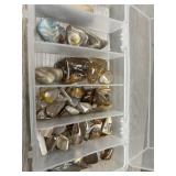 Polished Stone Lot - Petrified Wood and More