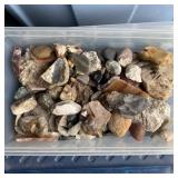 Petrified Wood, Crystals, Stones & More - Big