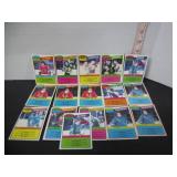 15-1980-81 OPC TEAM LEADERS HOCKEY CARDS