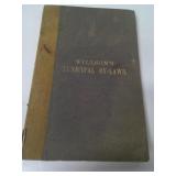 WILLSON'S MUNICIPAL BY-LAWS, 1880