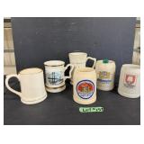 (6) Steins