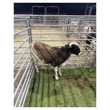 ARCF6540 TRI COLOR RAM 80# P25