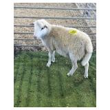 ARBY3392 WHITE RAM 53# P60