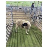 ARCF6745 WHITE BLK WETHER 87# P58