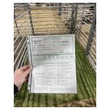 REG DORSET EWE HAS PAPERS 134# P57
