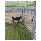 ARCF6663 BLK DOE 46# P14