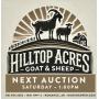 HILLTOP ACRES GOAT & SHEEP AUCTION MAY 3-2025