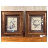 Framed duck prints
