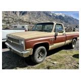 1982 Chevrolet C20 Pick-up Truck