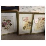3 FRAMED BOTANICAL PRINTS - 22 X 18 '