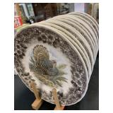 12 CHURCHILL MYOTT TURKEY 10 ' DINNER PLATES