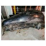 1937 Buick Fender #3