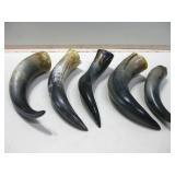 Five Assorted Animal Horns Longest 12" Five Assorted Animal Horns Longest 12"