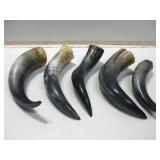 Five Assorted Animal Horns Longest 12"