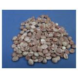 Two Hundred Rhodochrosite Cabochons 8x10mm