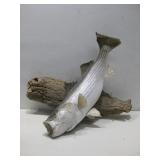 Taxidermy Striped Bass Mounted On Wood See Info