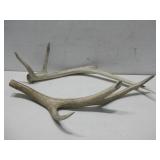 Two Antlers Longest 27'