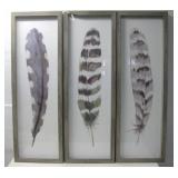 Three Framed Watercolor Feather Print 36' x 12'