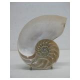 Nautilus Shell Art On Stand 7.25'