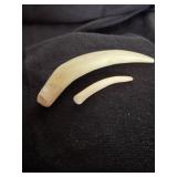 TWO AUTHENTIC CLAW/TEETH, LARGER ONE IS 2.5' LONG