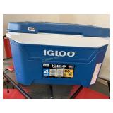 Igloo Cooler