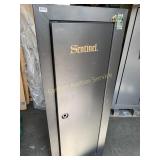 Sentinel Gun Safe