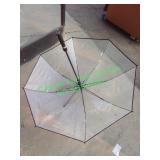 Clear umbrella