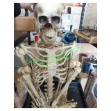 Skeleton decor Skeleton decor