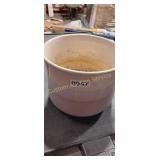 PLANT POT