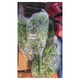 5 PLASTIC PLANTS