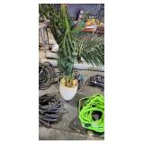 SILK PLANT