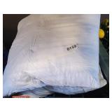2 THROW PILLOWS