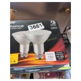 2PK OF BULBS