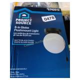 6' GLOBE FLUSHMOUNT LIGHT