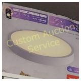GLOBE FLUSHMOUNT CEILING FIXTURE