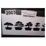 BONSAI TREE STARTER KIT