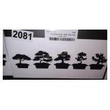 BONSAI TREE STARTER KIT