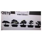 BONSAI TREE STARTER KIT