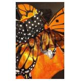 BUTTERFLY COSTUME KIDS SIZE 12-24 M 2 PACK
