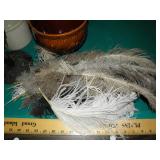 Feathers